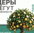 image_15_01_26_11_55a9c49.png - Красноярский район